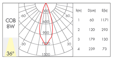 36°