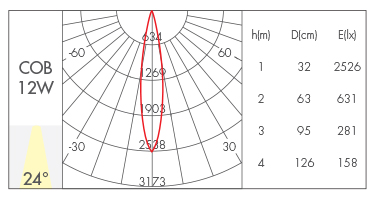 反光杯款24°