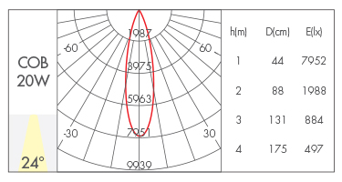 24°