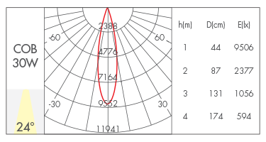 24°